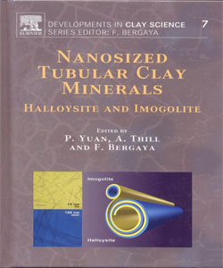 Nanosized Tubular Clay Minerals Halloysite and Imogolite