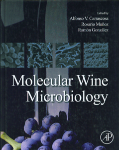 Molecular Wine Microbiology