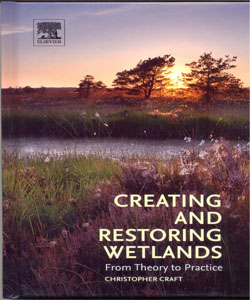 Creating and Restoring Wetlands From Theory to Practice