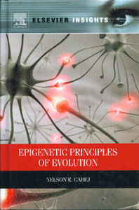 Epigenetic Principles of Evolution