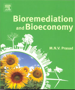 Bioremediation and Bioeconomy