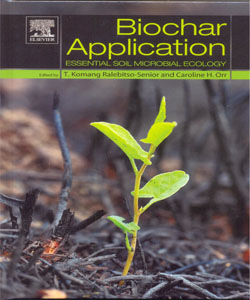 Biochar Application Essential Soil Microbial Ecology
