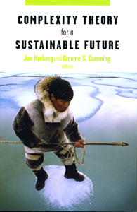 Complexity Theory for a Sustainable Future