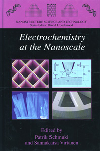 Electrochemistry at the Nanoscale