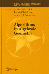 Algorithms in Algebraic Geometry