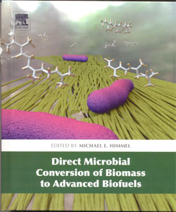 Direct Microbial Conversion of Biomass to Advanced Biofuels