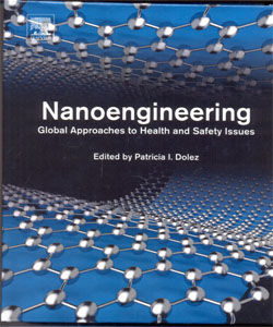 Nanoengineering Global Approaches to Health and Safety Issues