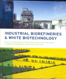 Industrial Biorefineries and White Biotechnology