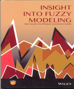 Insight into Fuzzy Modeling