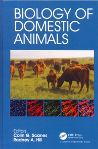 Public Policy Preferences and Outcomes 3Ed.