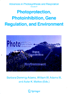 Photoprotection, Photoinhibition, Gene Regulation and Environment