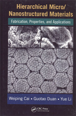 Hierarchical Micro/Nanostructured Materials