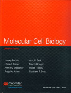 Molecular Cell Biology International Edition (7th Ed)