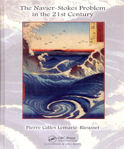 The Navier-Stokes Problem in the 21st Century