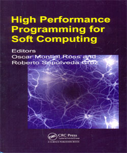 High Performance Programming for Soft Computing