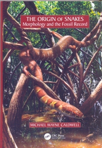 The Origin of Snakes Morphology and the Fossil Record