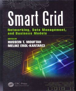 Smart Grid Networking, Data Management, and Business Models