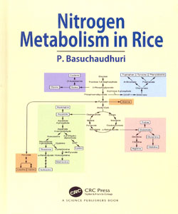 Nitrogen Metabolism in Rice