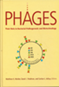 Phages: Their Role in Bacterial Pathogenesis and Biotechnology