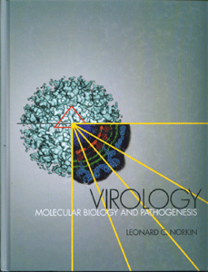 Virology: Molecular Biology and Pathogenesis