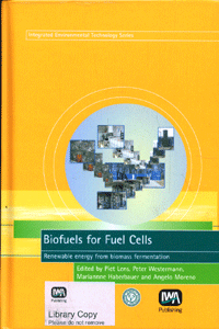 Biofuels for Fuel Cells