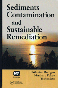 Sediments Contamination and Sustainable Remediation