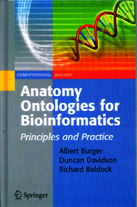 Anatomy of Ontologies for Bioinformatics
