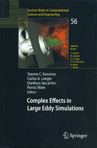 Complex Effects in Large Eddy Simulations