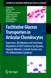 Facilitative Glucose Transporters in Articular chondrocytes