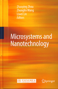 Microsystems and Nanotechnology