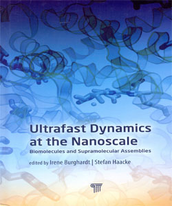 Ultrafast Dynamics at the Nanoscale